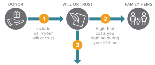 This diagram represents how to leave a gift through your will or trust - a gift that costs nothing during lifetime.